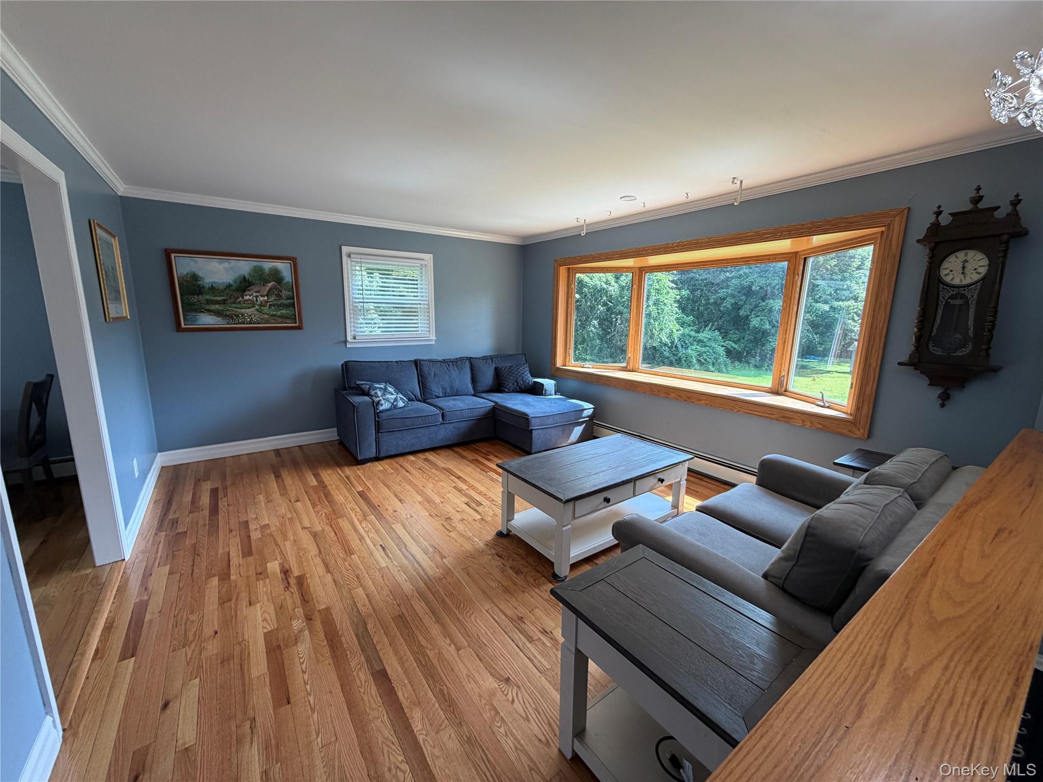 17 Hunter Street Property Photo 6