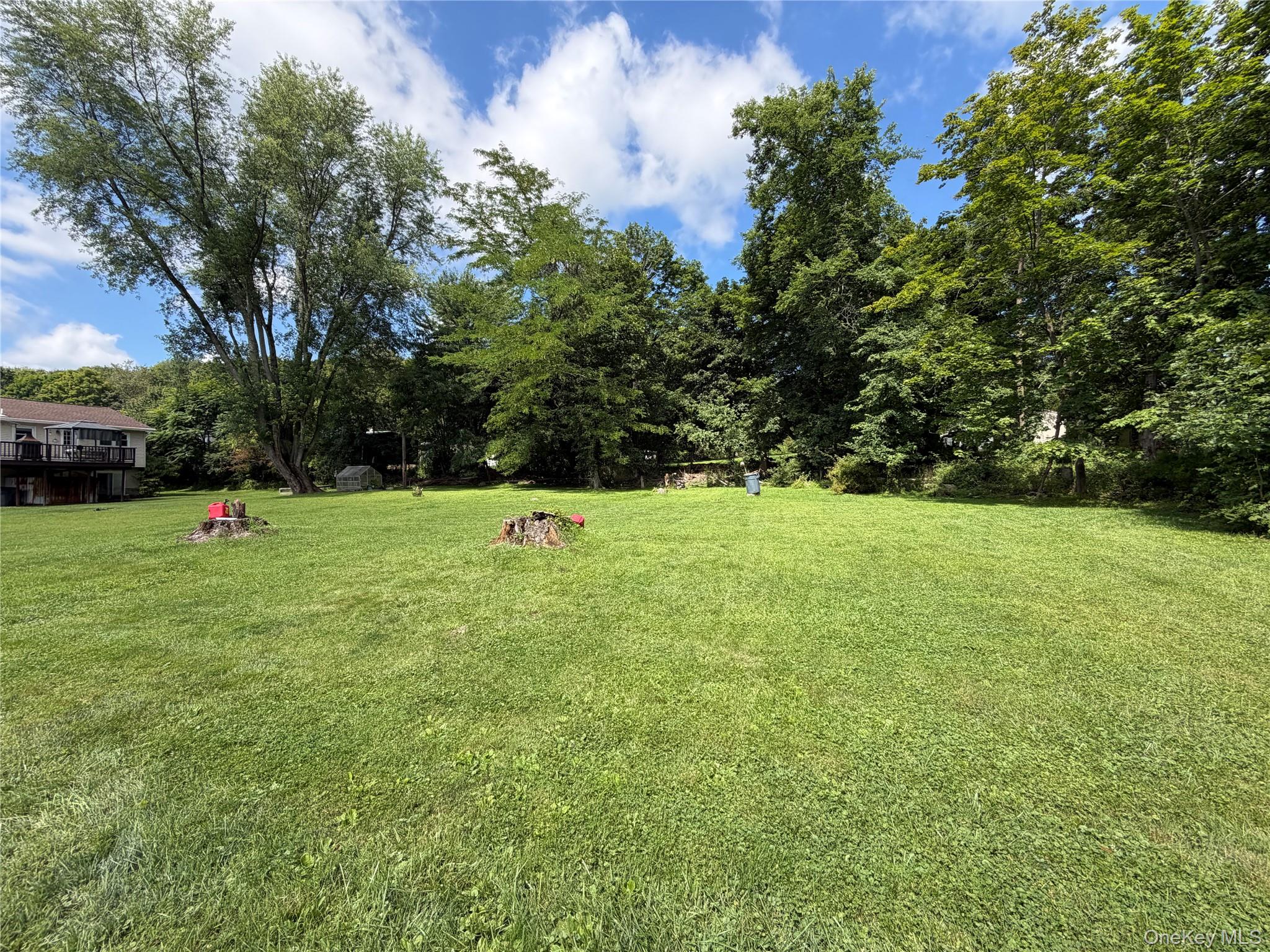 17 Hunter Street Property Photo 29