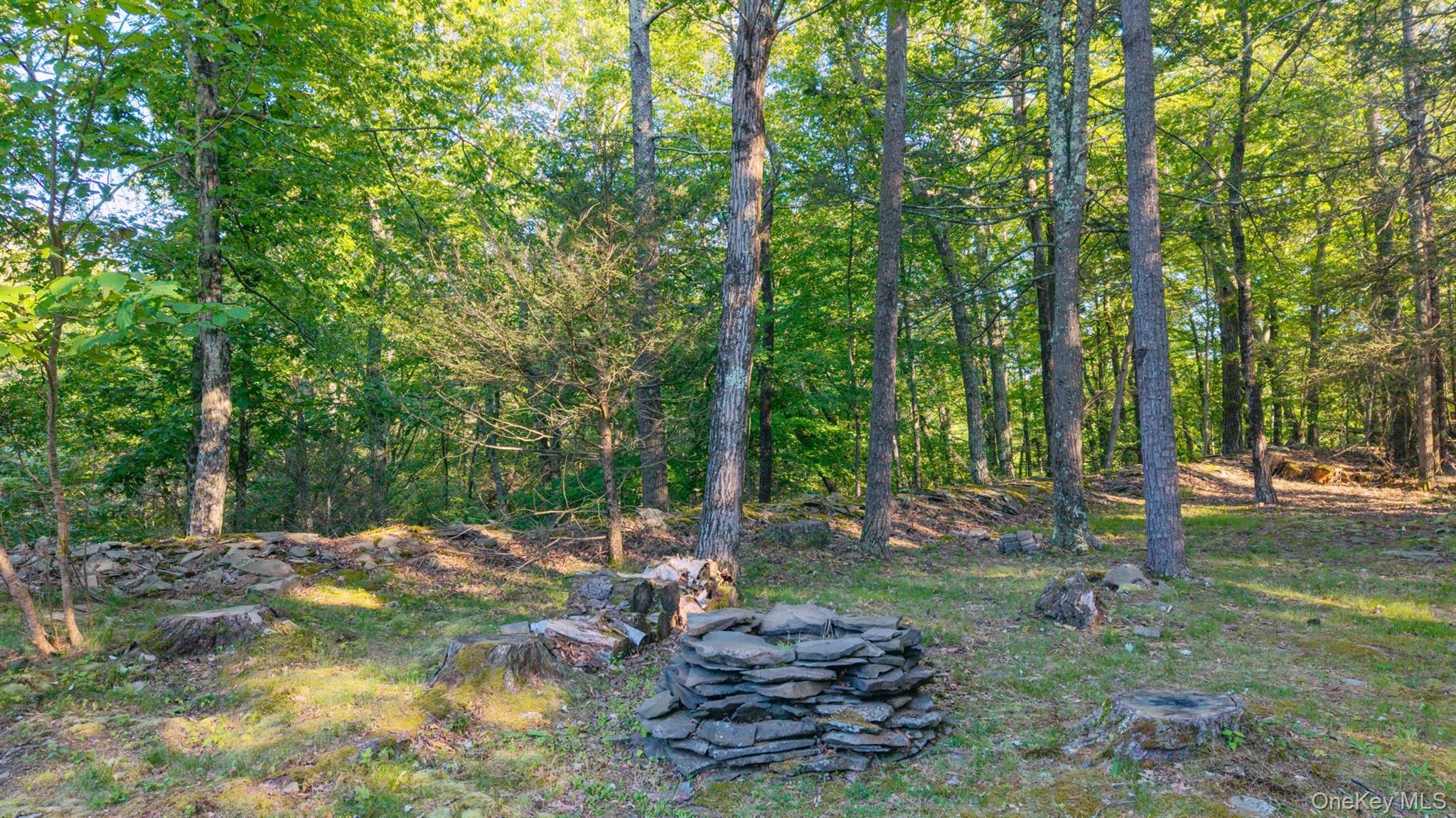 33 Cranberry Lane Property Photo 45