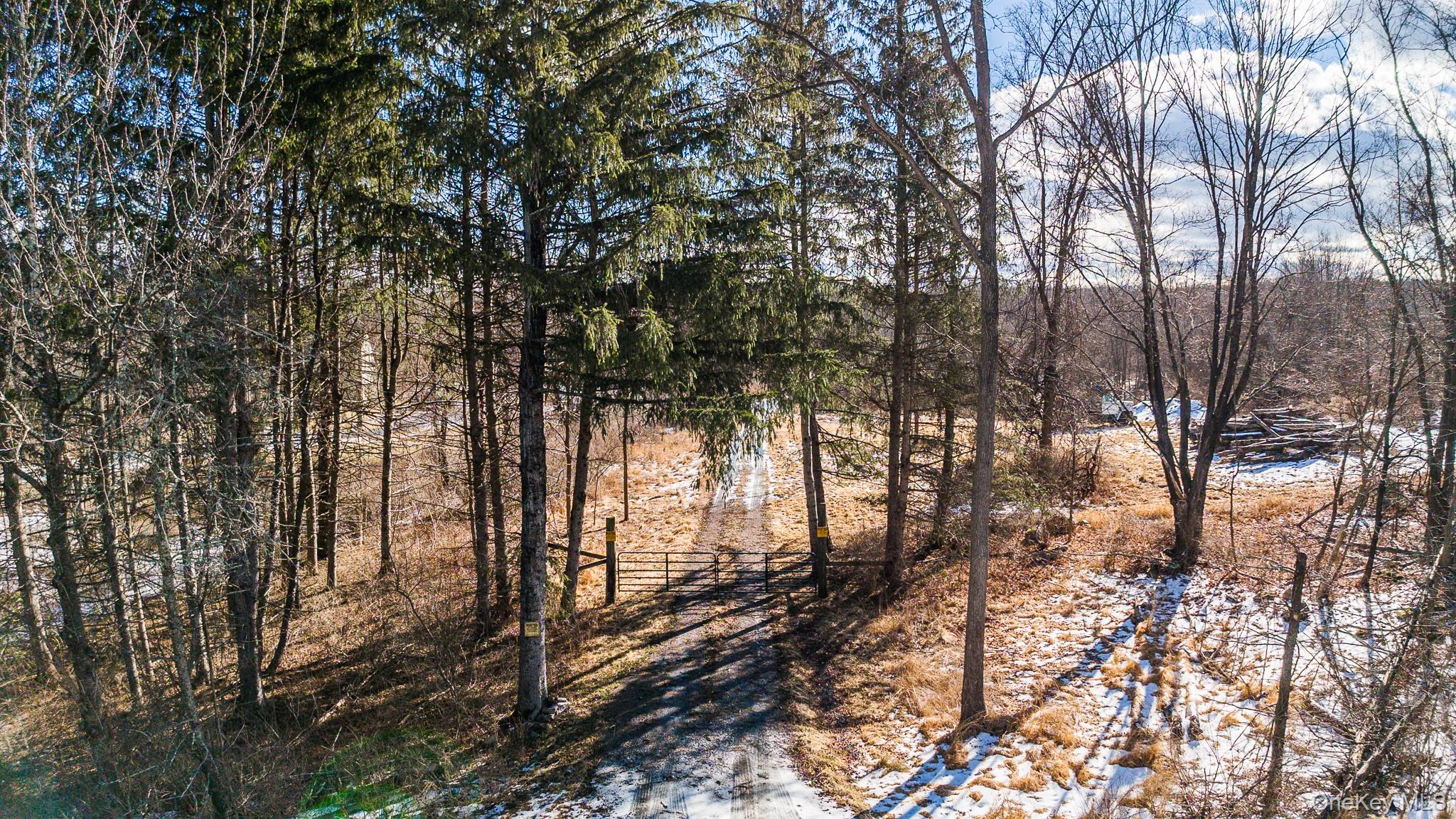 64 Seaman Road Property Photo 23