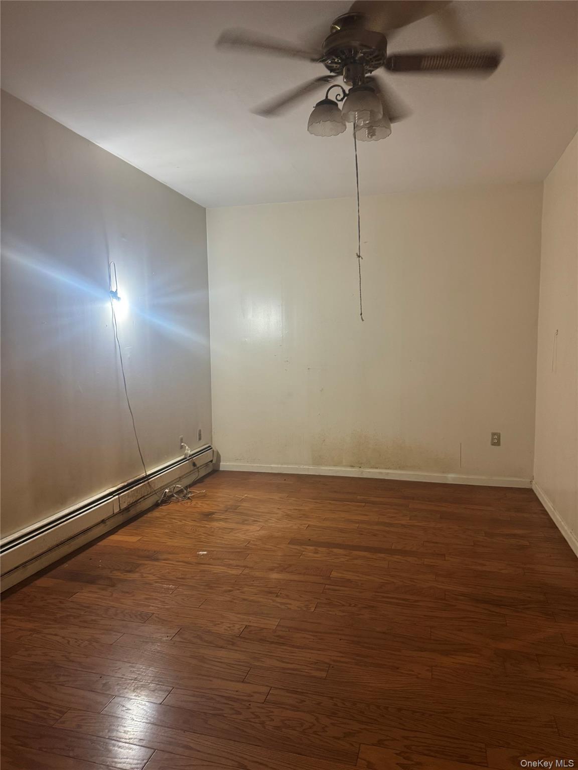 3637 Olinville Avenue Property Photo 13