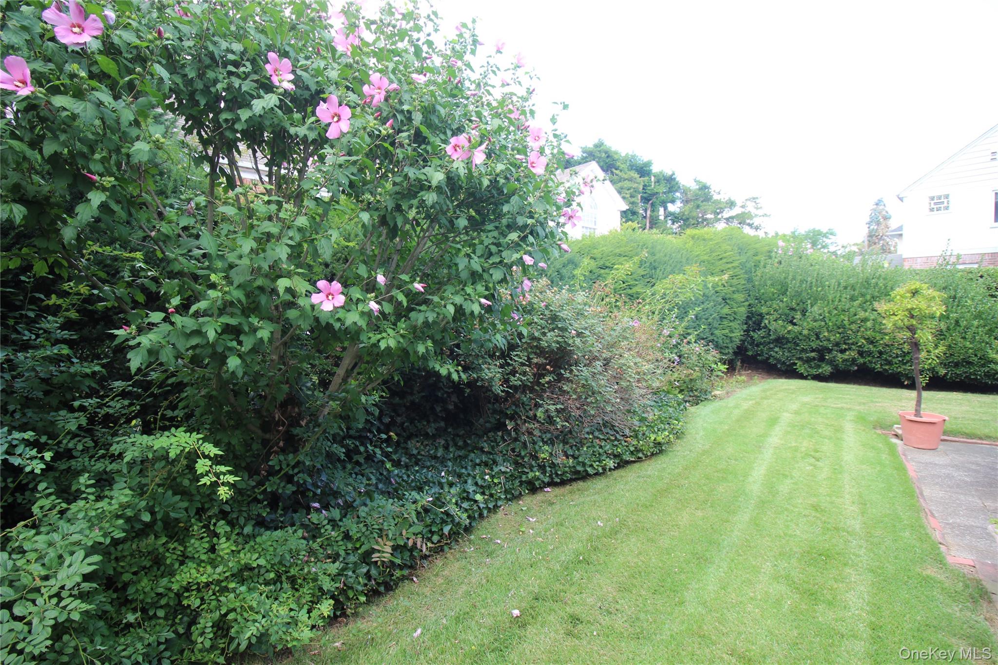 42 Foster Avenue Property Photo 6