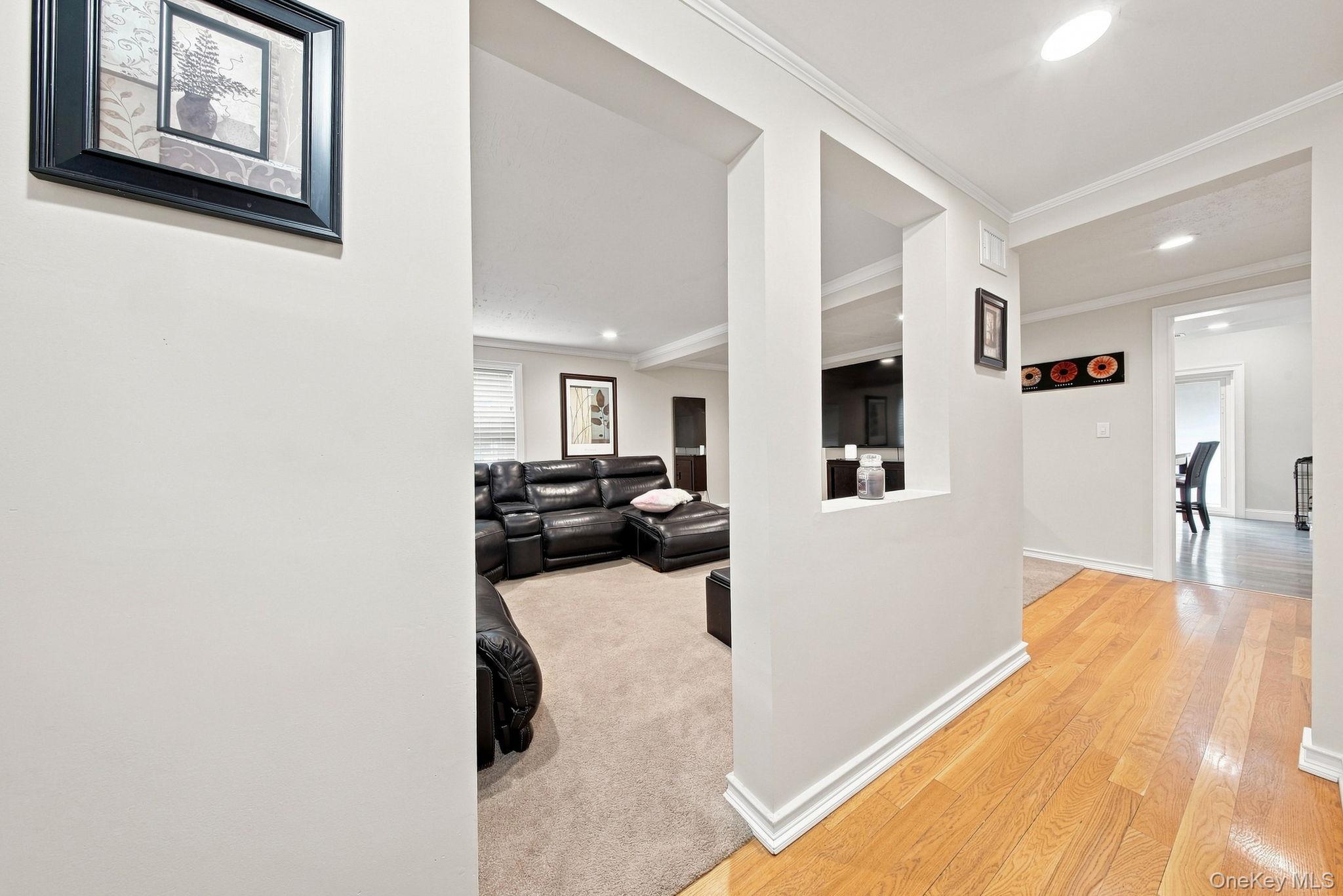 8 Nelson Street Property Photo 9