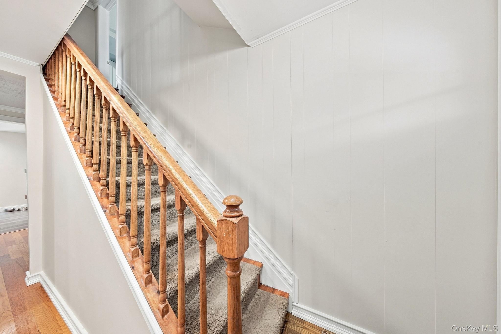 8 Nelson Street Property Photo 21