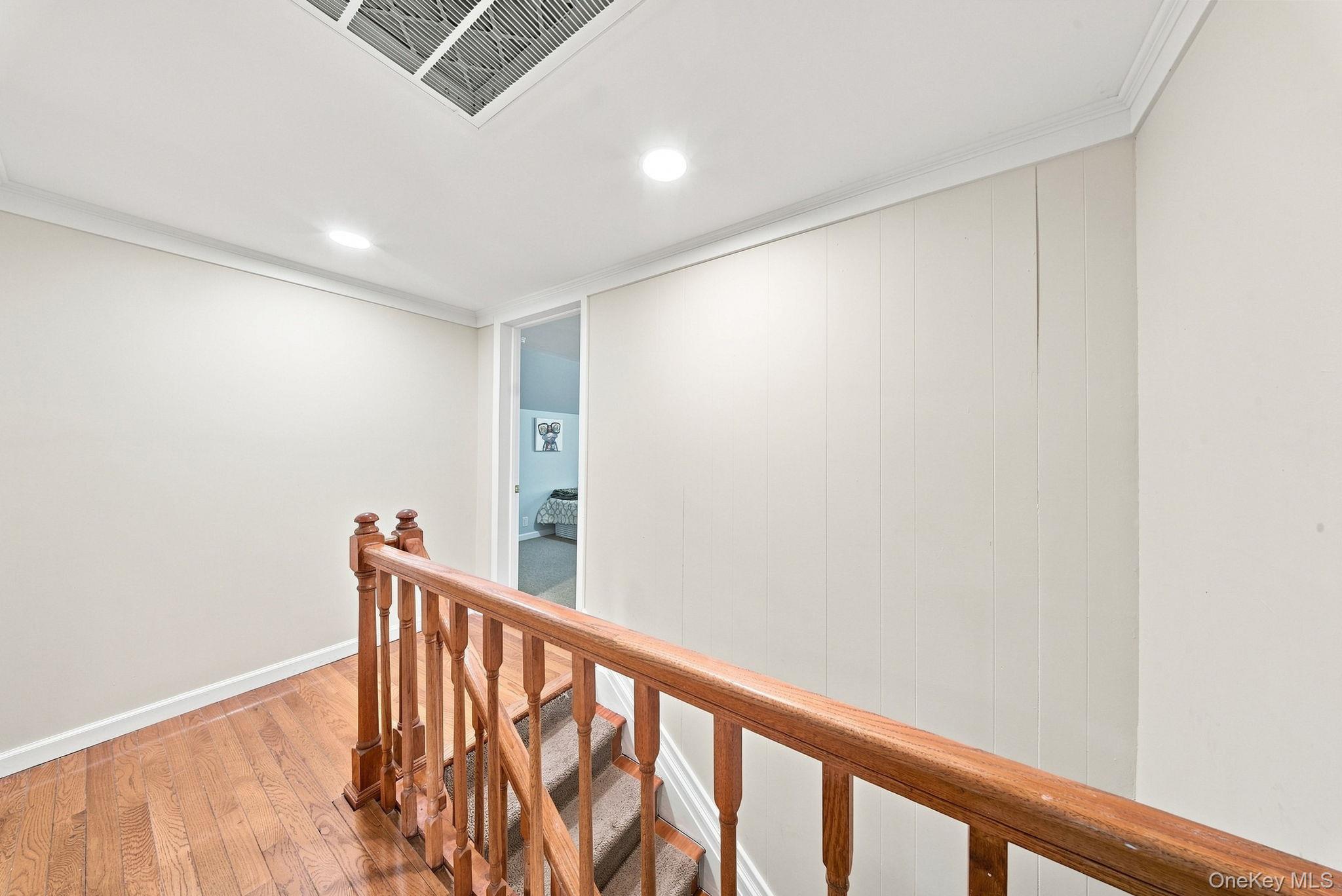 8 Nelson Street Property Photo 22