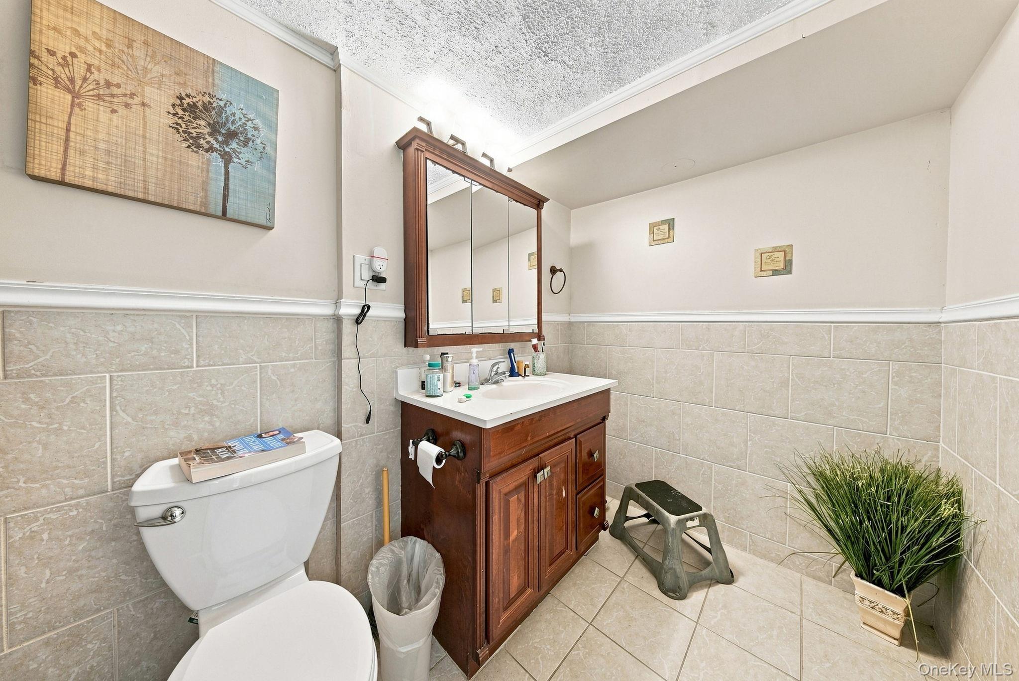 8 Nelson Street Property Photo 27