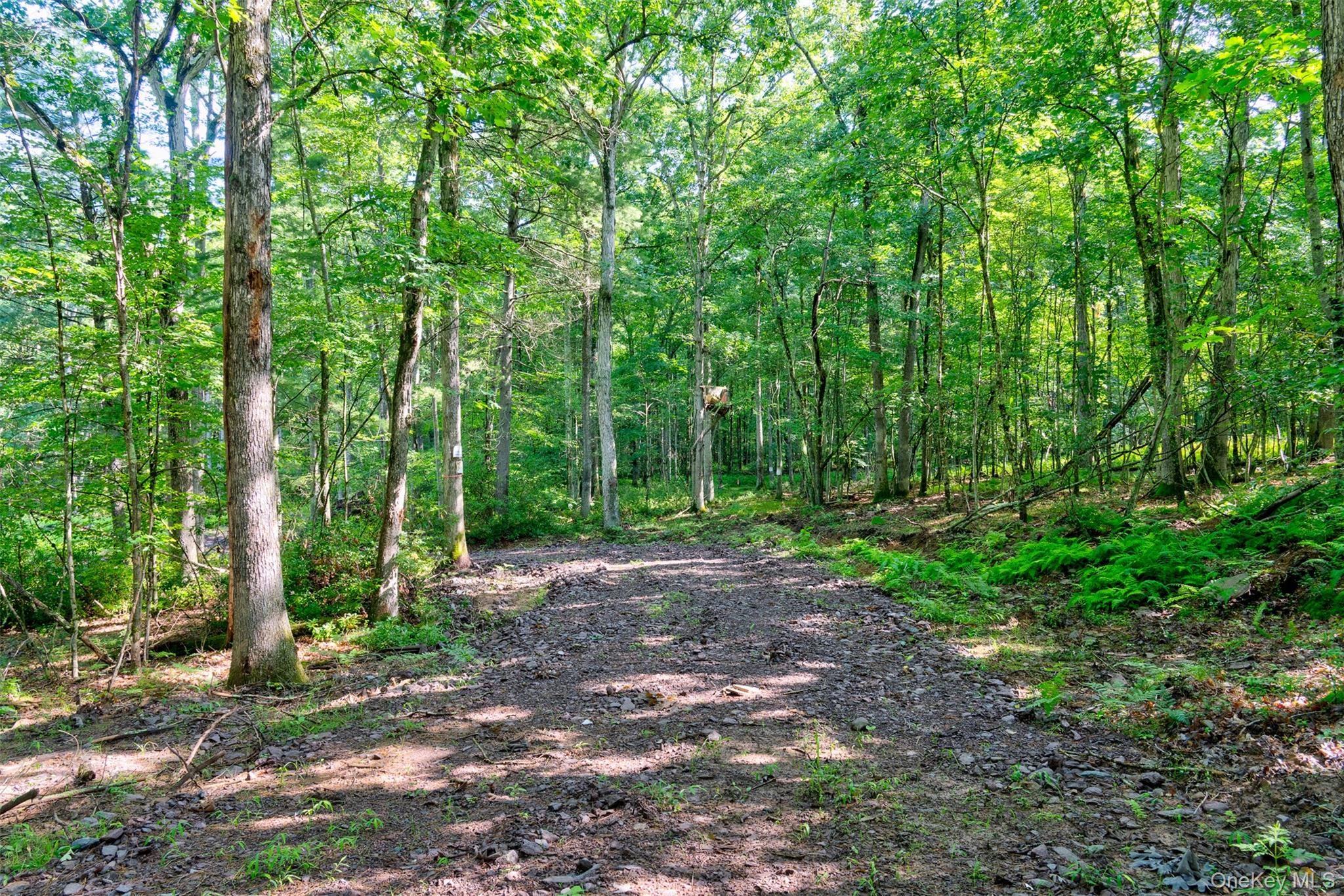 Lot 23 Perry Pond Road Property Photo 1