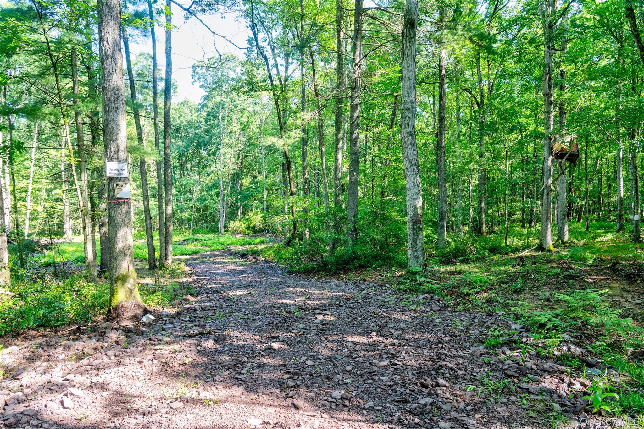Lot 23 Perry Pond Road Property Photo 2