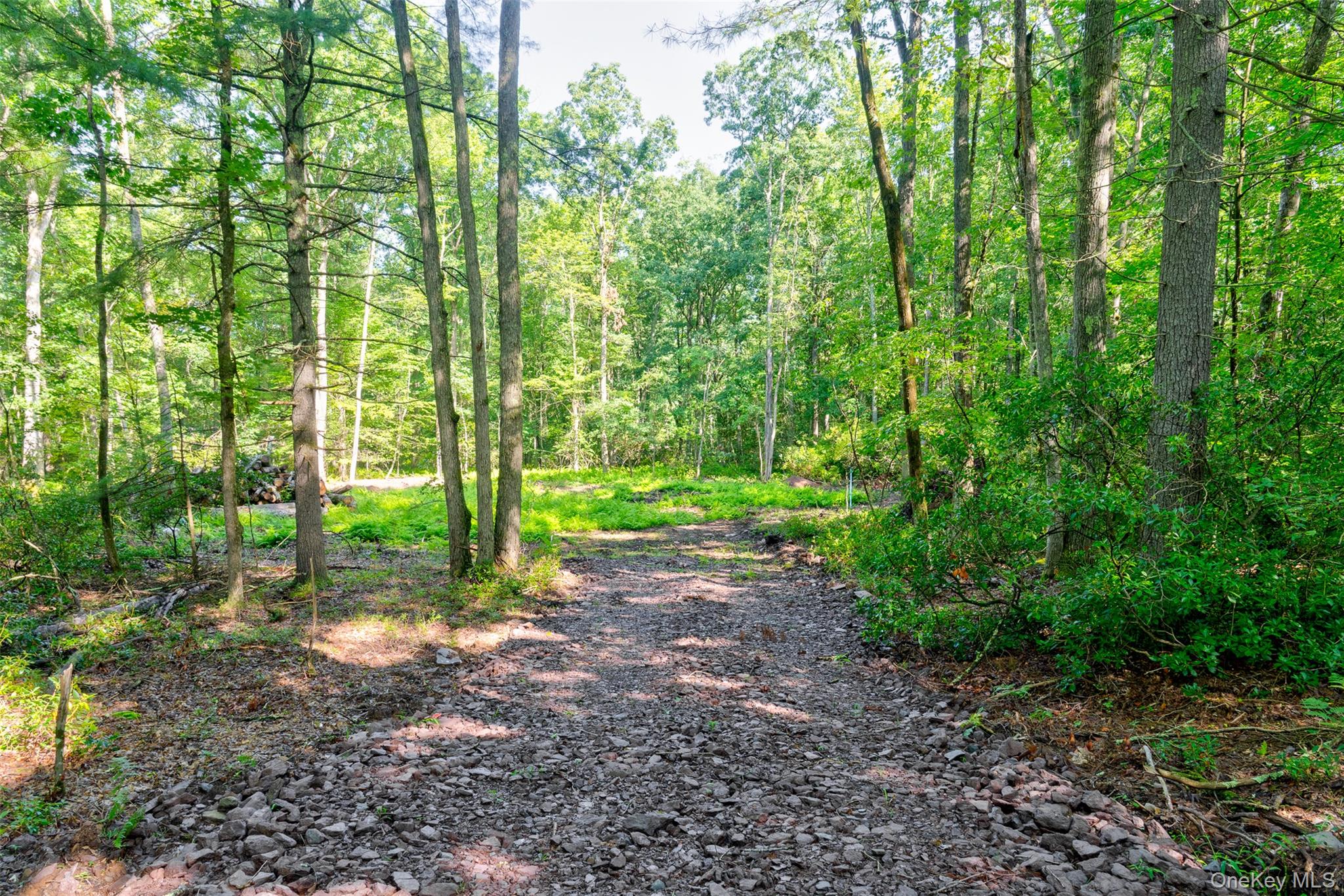 Lot 23 Perry Pond Road Property Photo 3