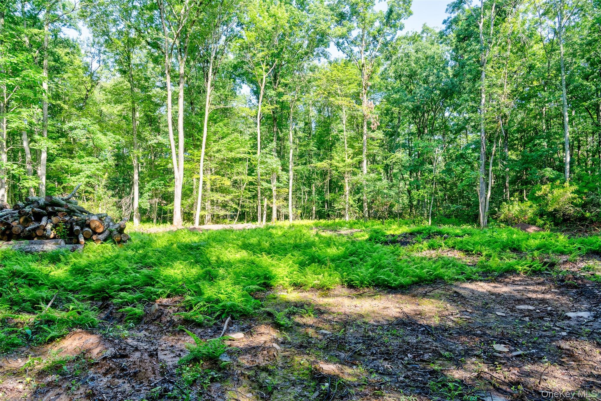 Lot 23 Perry Pond Road Property Photo 4