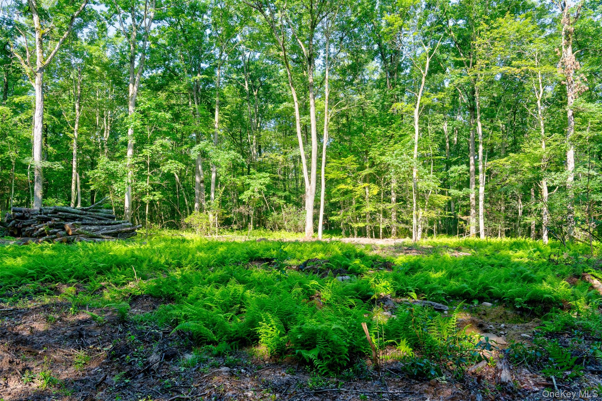 Lot 23 Perry Pond Road Property Photo 5