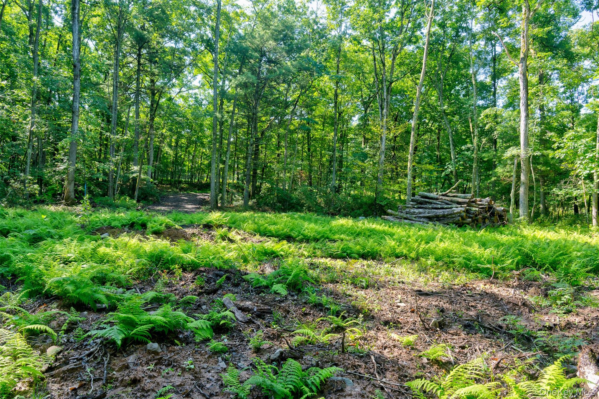 Lot 23 Perry Pond Road Property Photo 11