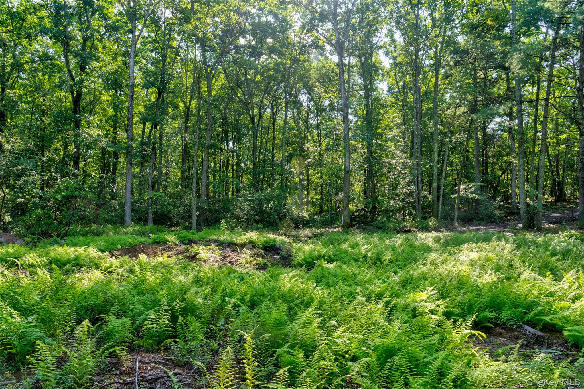 Lot 23 Perry Pond Road Property Photo 12