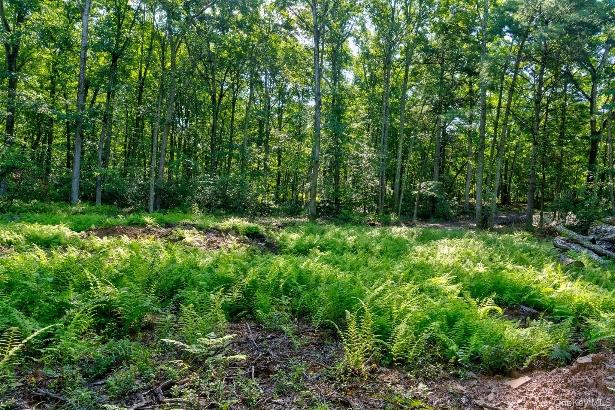 Lot 23 Perry Pond Road Property Photo 13