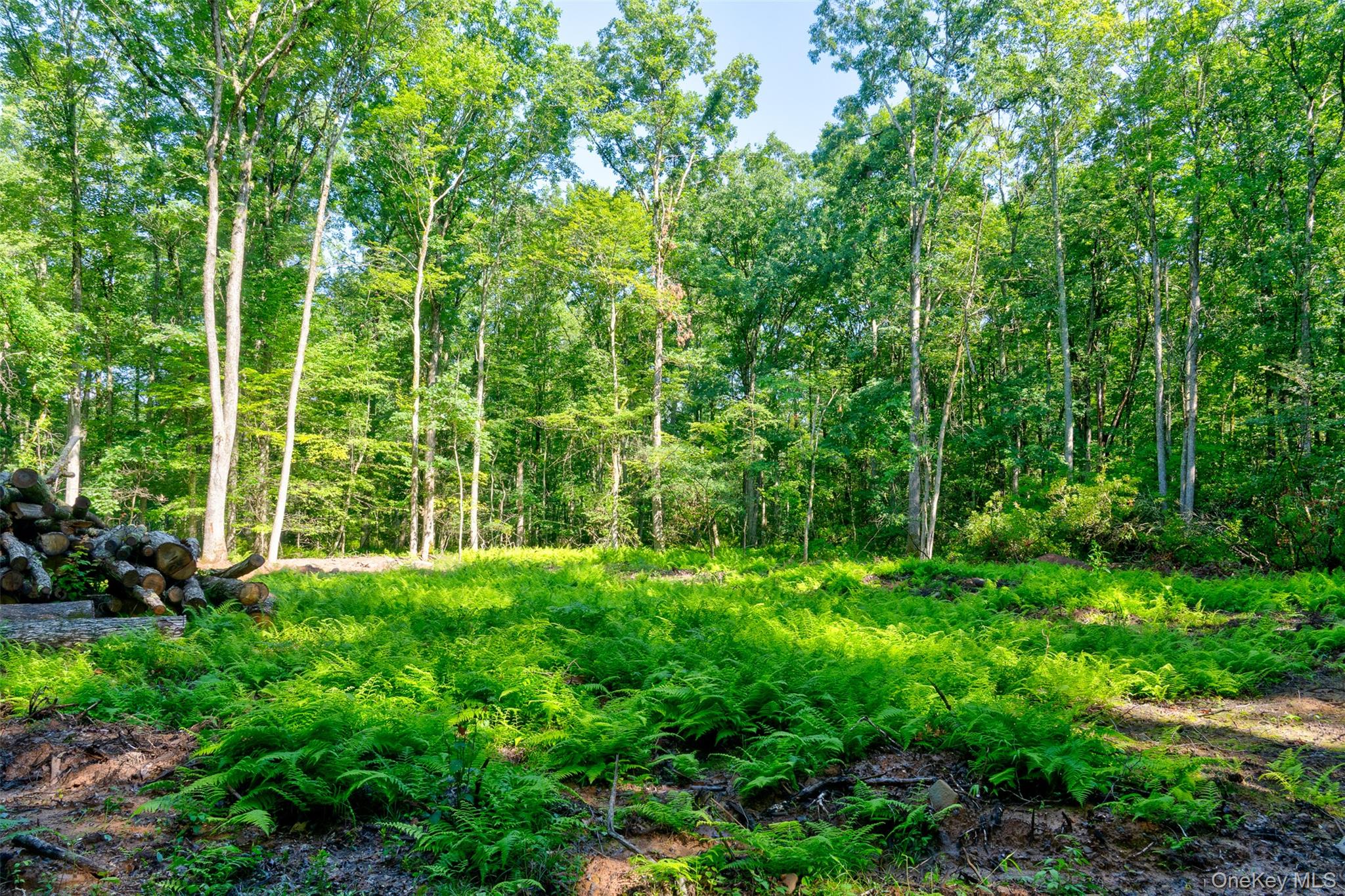 Lot 23 Perry Pond Road Property Photo 14