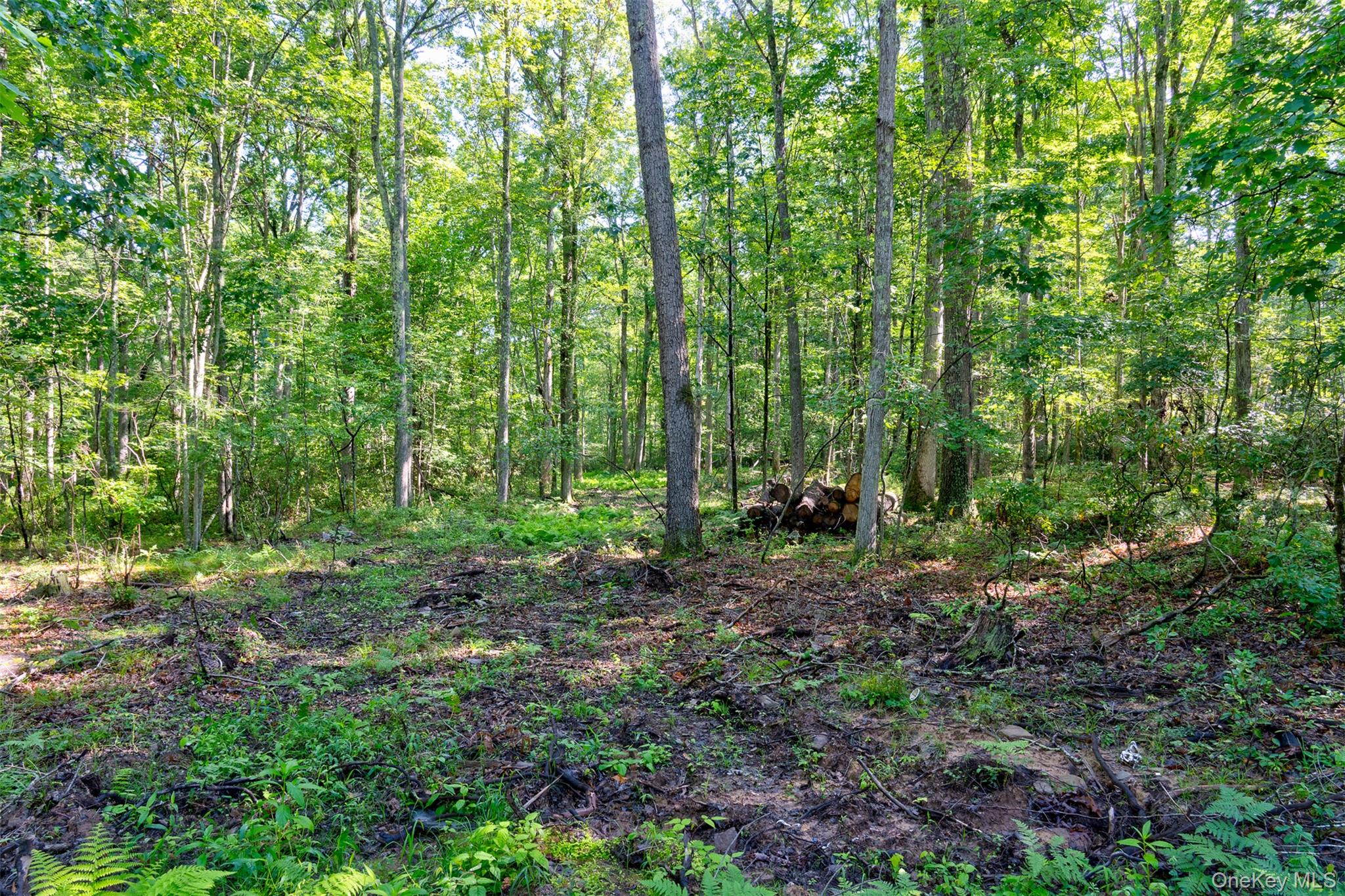 Lot 23 Perry Pond Road Property Photo 15