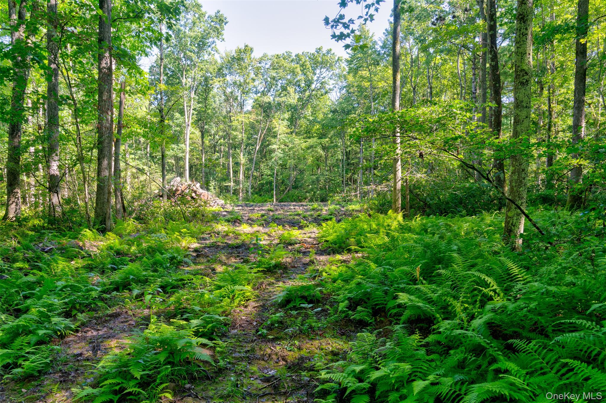 Lot 22 Perry Pond Road Property Photo 1