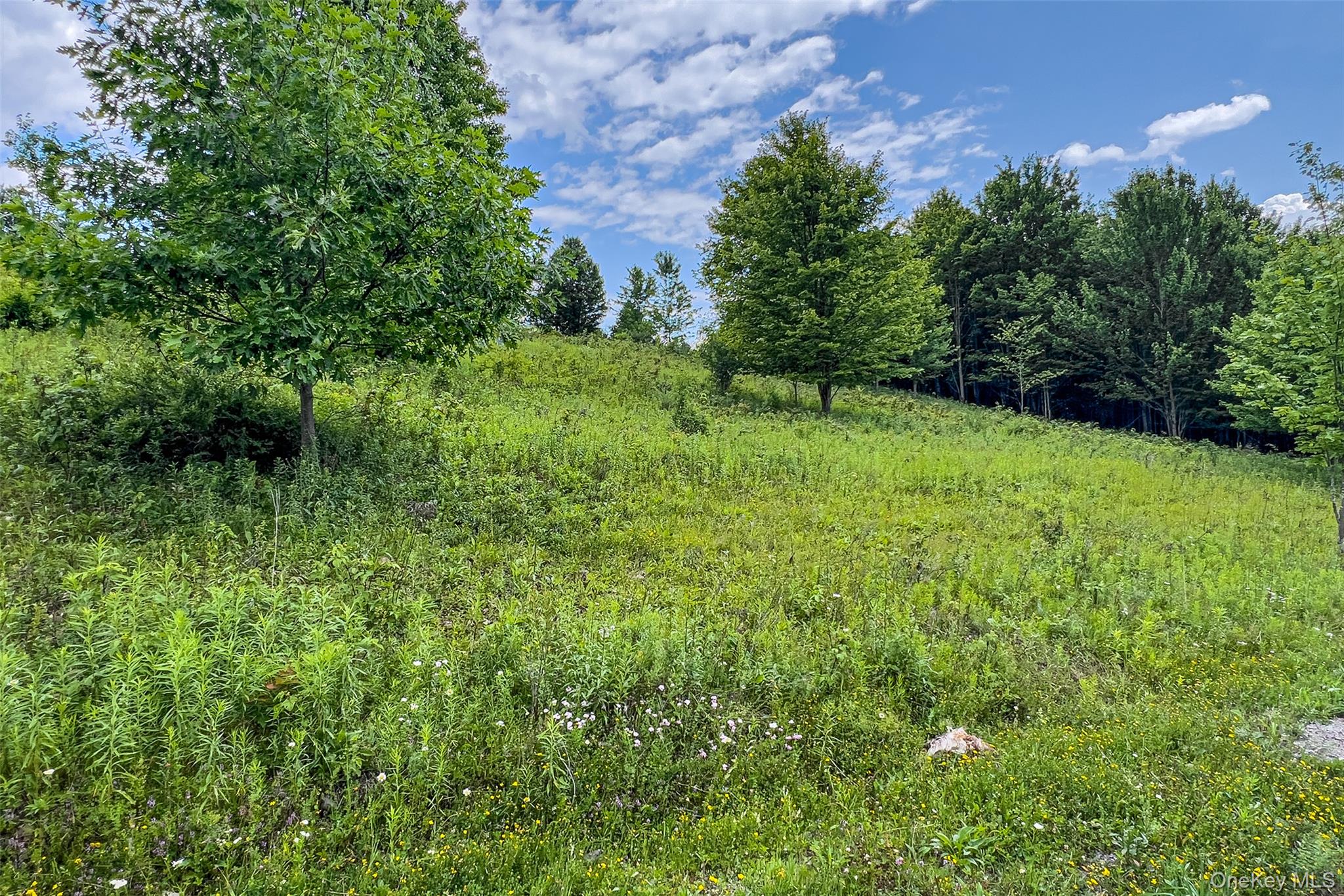 Lot 23 Lynch Road Property Photo 4