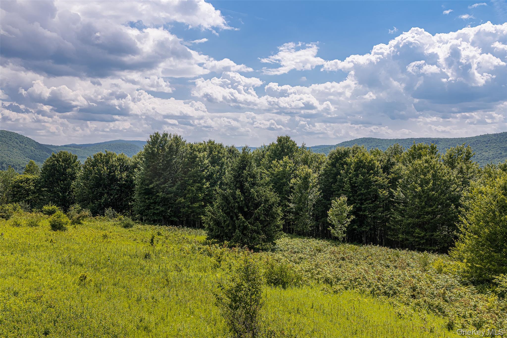 Lot 23 Lynch Road Property Photo 6