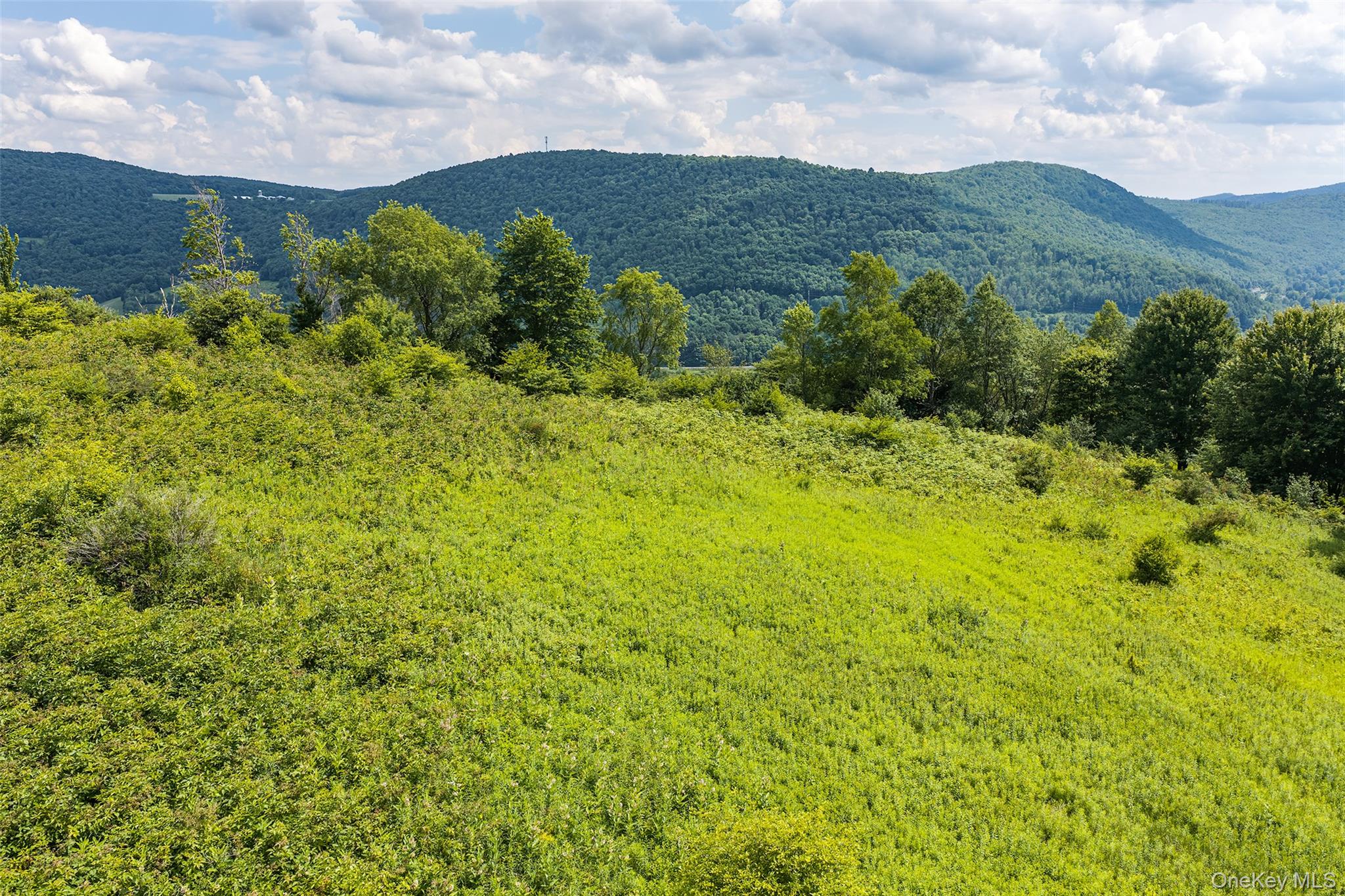 Lot 23 Lynch Road Property Photo 7