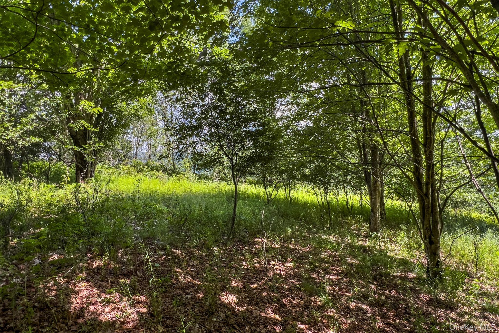Lot 23 Lynch Road Property Photo 13