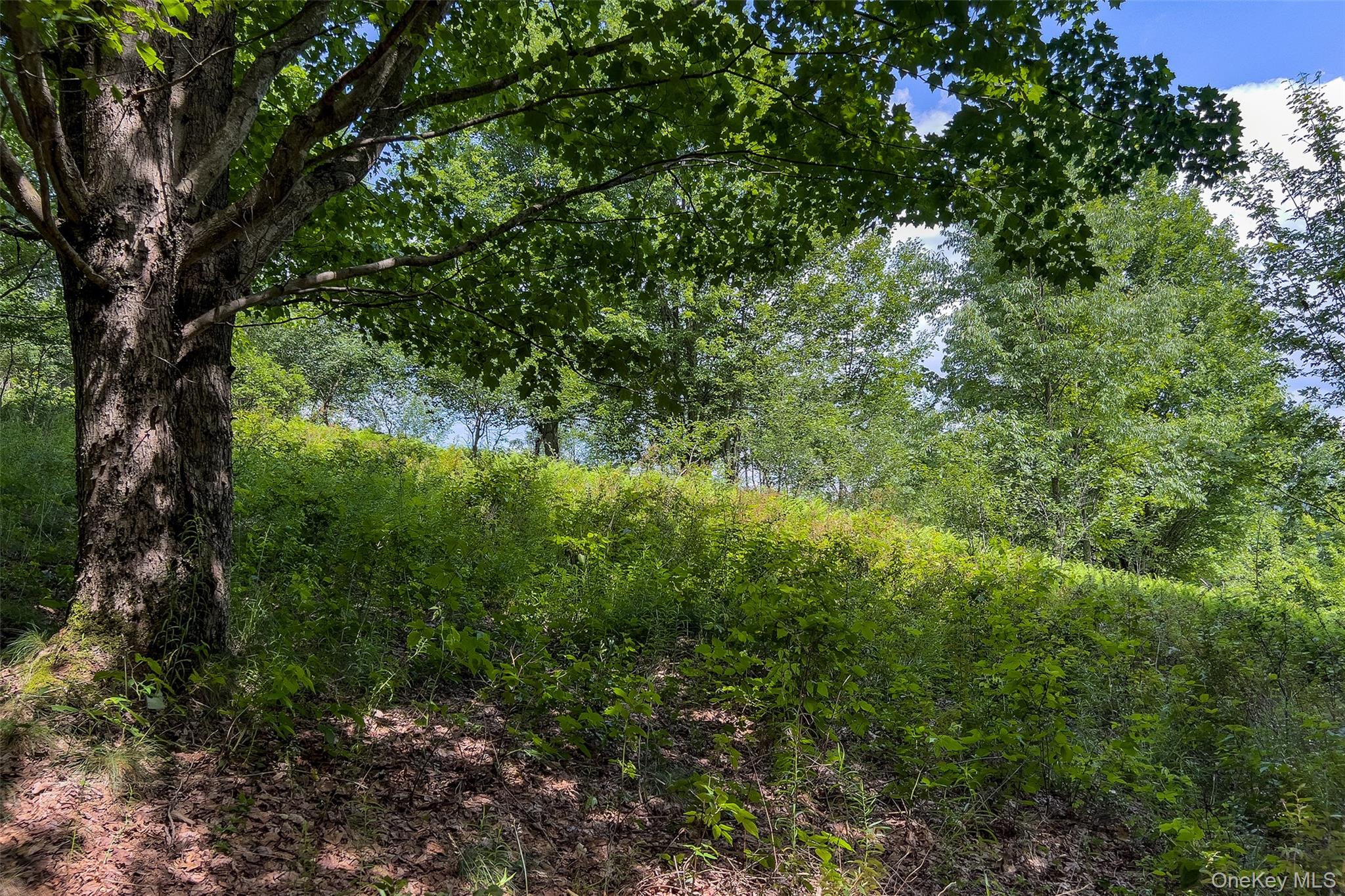 Lot 23 Lynch Road Property Photo 14