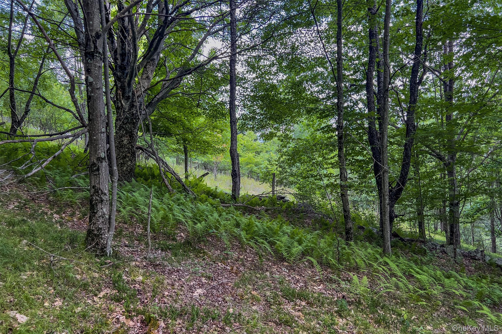 Lot 23 Lynch Road Property Photo 16