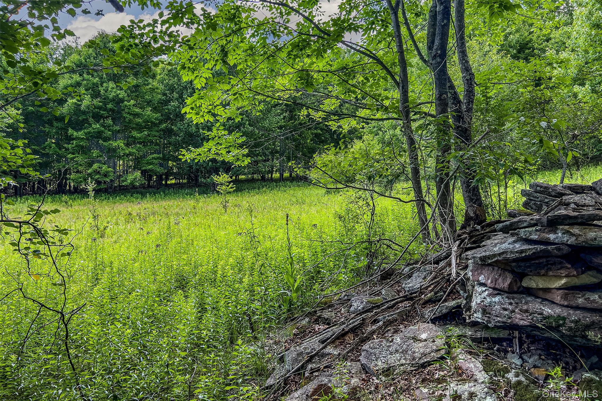 Lot 23 Lynch Road Property Photo 19