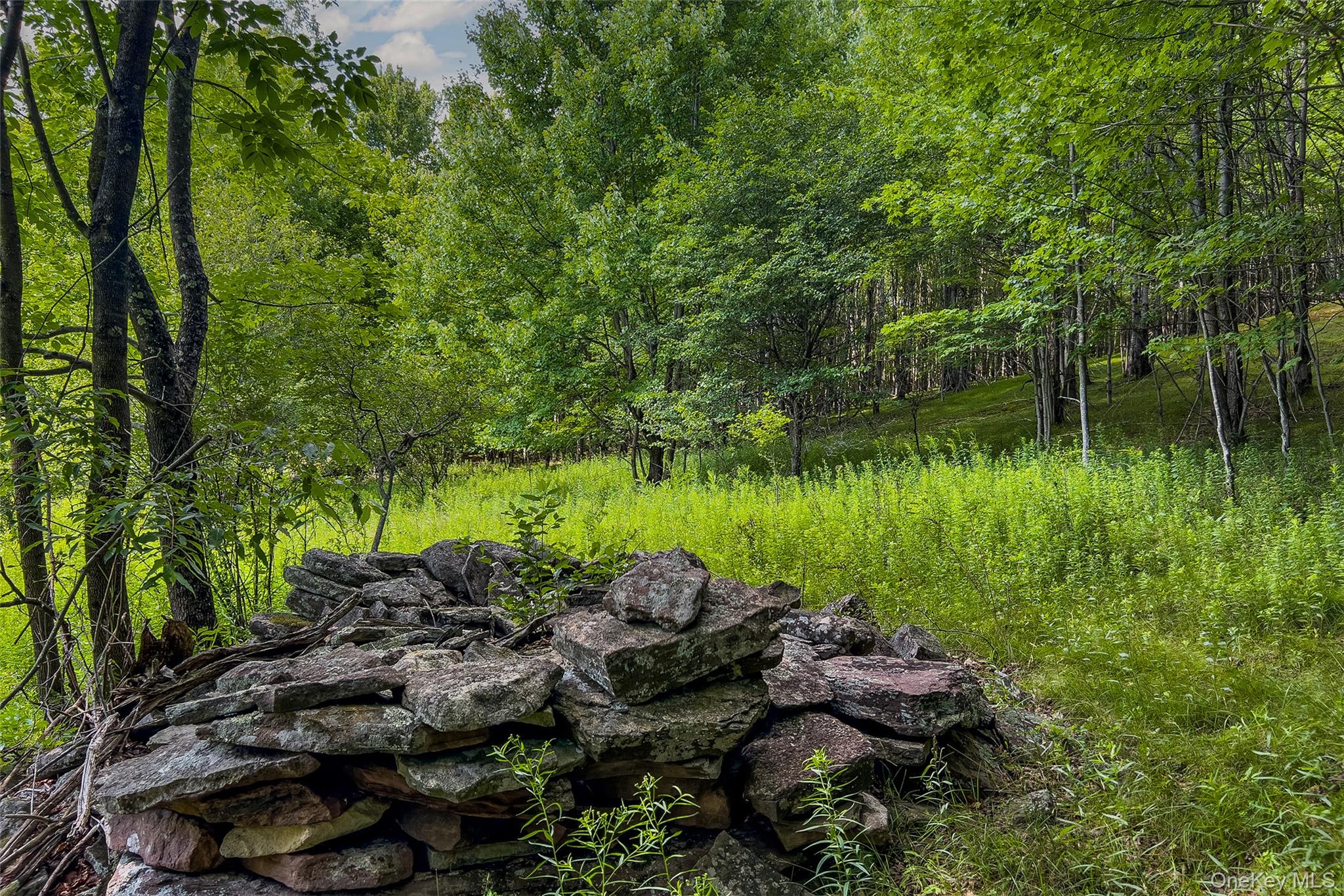 Lot 23 Lynch Road Property Photo 20