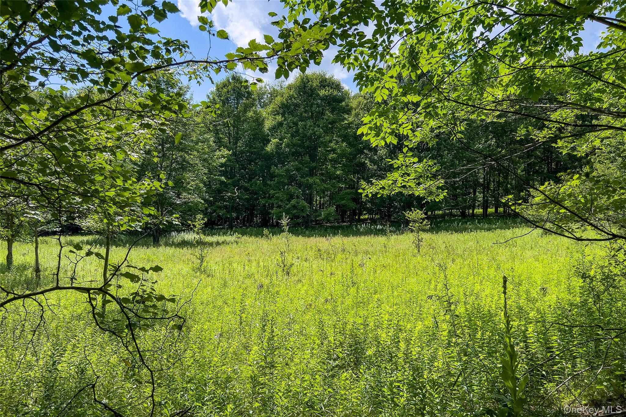 Lot 23 Lynch Road Property Photo 21
