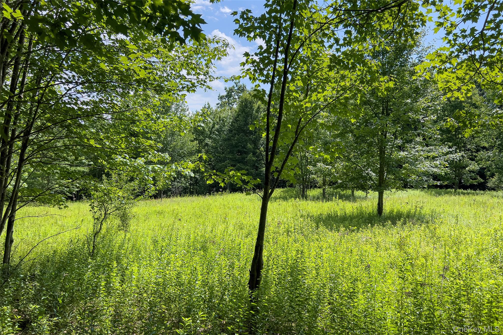 Lot 23 Lynch Road Property Photo 22