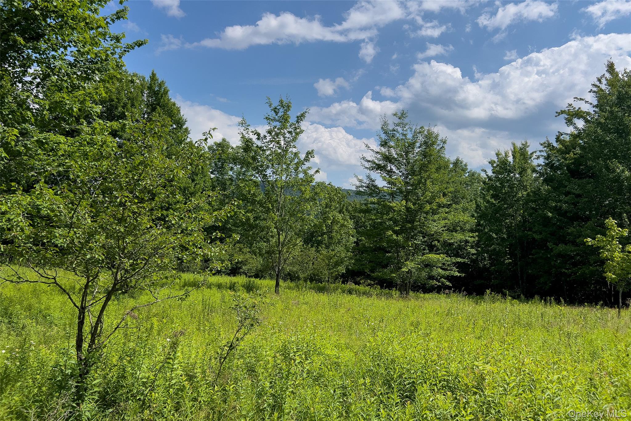 Lot 23 Lynch Road Property Photo 24