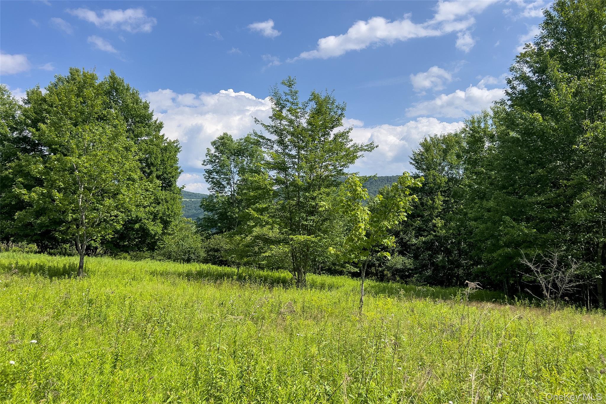 Lot 23 Lynch Road Property Photo 25