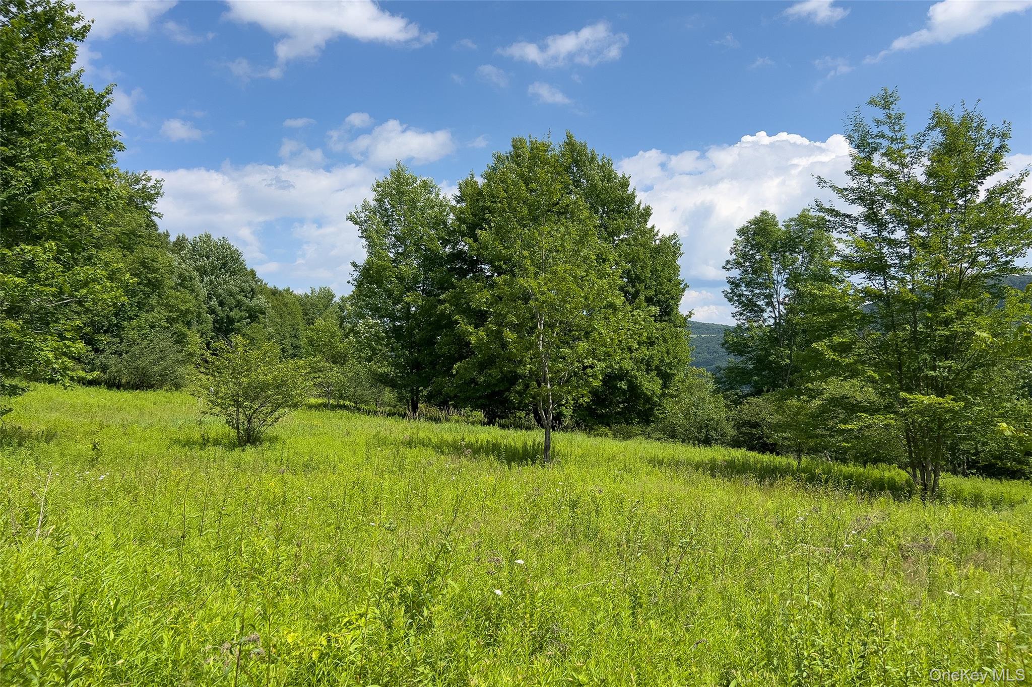 Lot 23 Lynch Road Property Photo 26