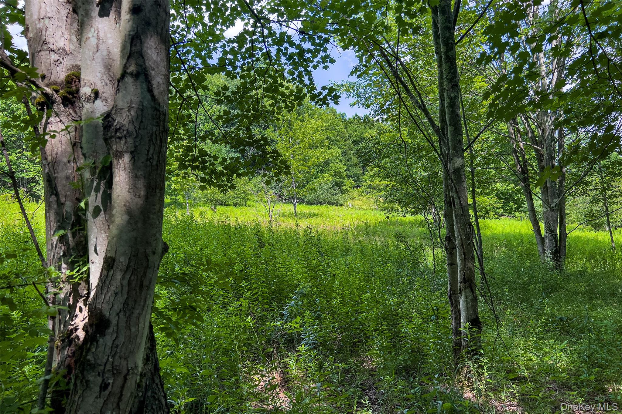 Lot 23 Lynch Road Property Photo 27