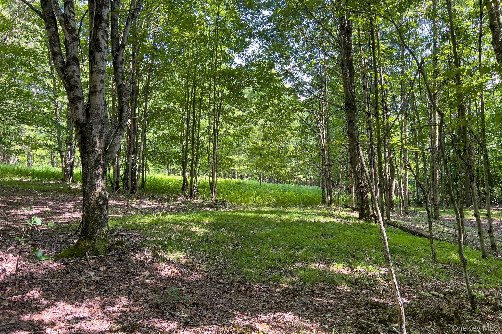Lot 23 Lynch Road Property Photo 47
