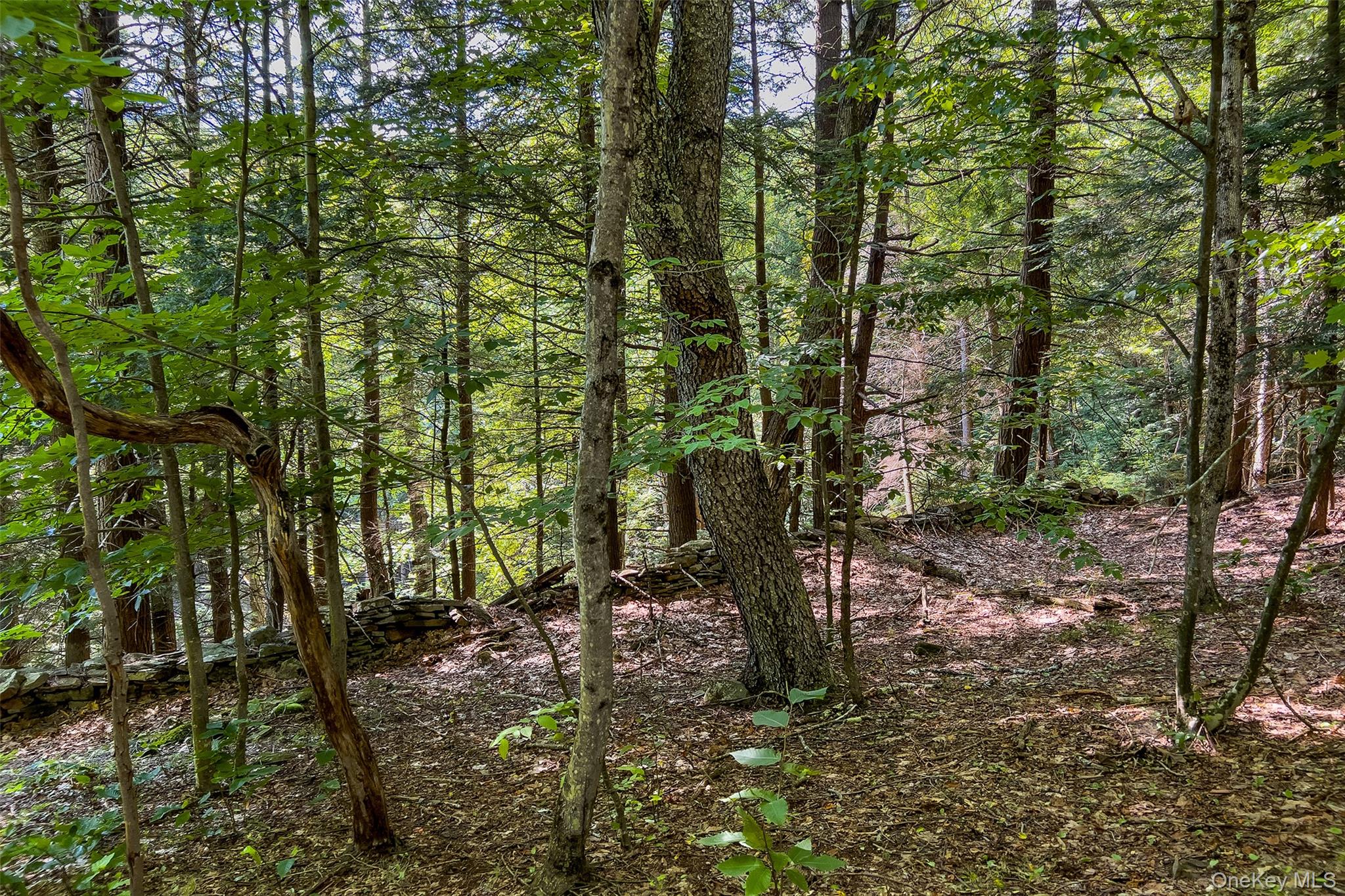 Lot 23 Lynch Road Property Photo 48