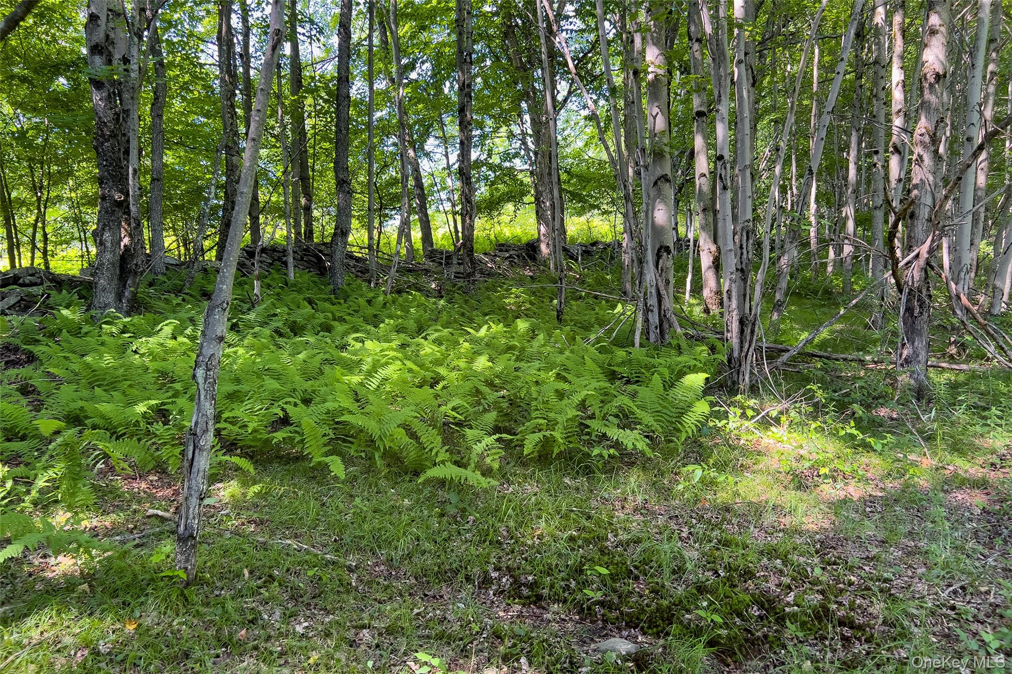 Lot 23 Lynch Road Property Photo 49