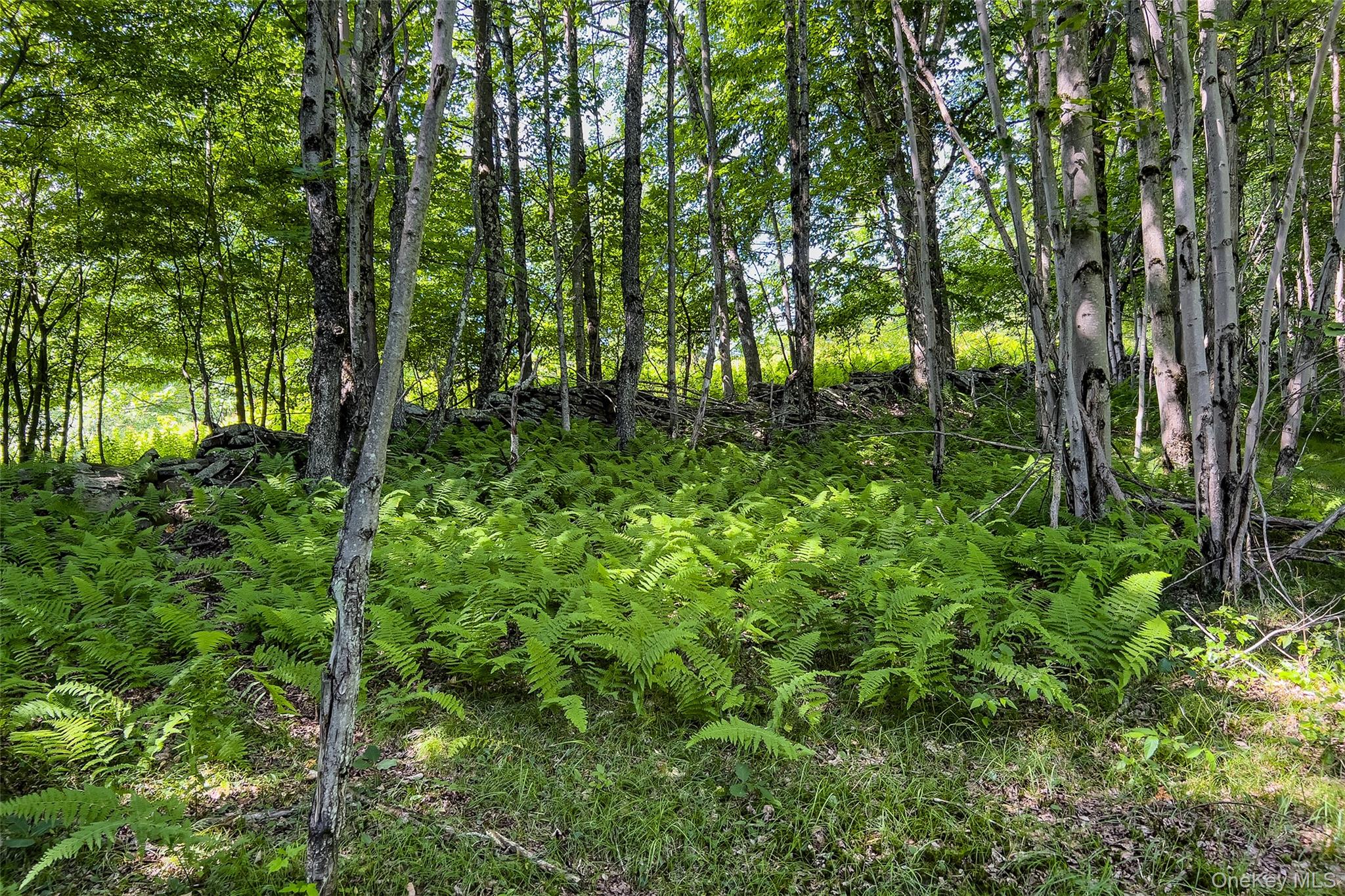 Lot 23 Lynch Road Property Photo 50
