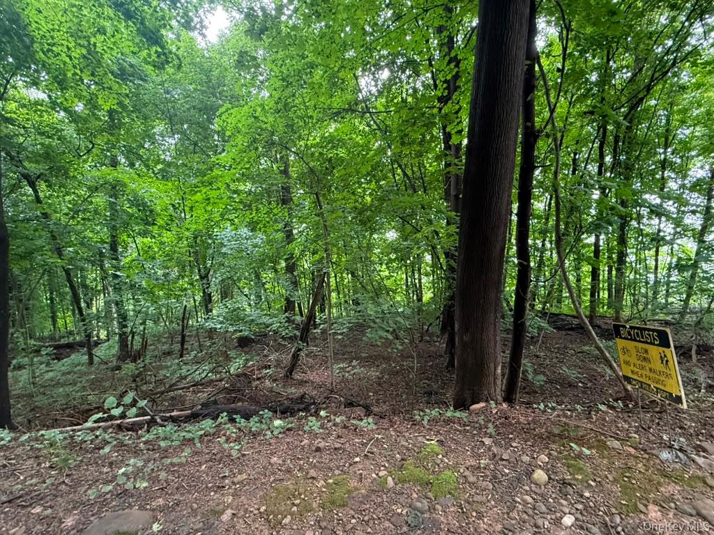 43 River Road Property Photo 1