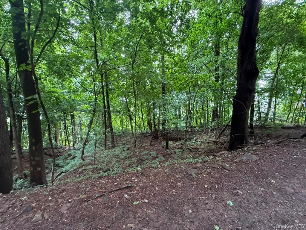 43 River Road Property Photo 2