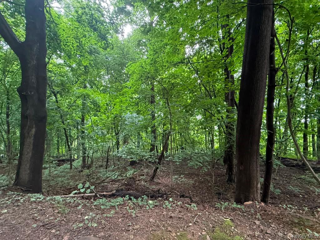 43 River Road Property Photo 3