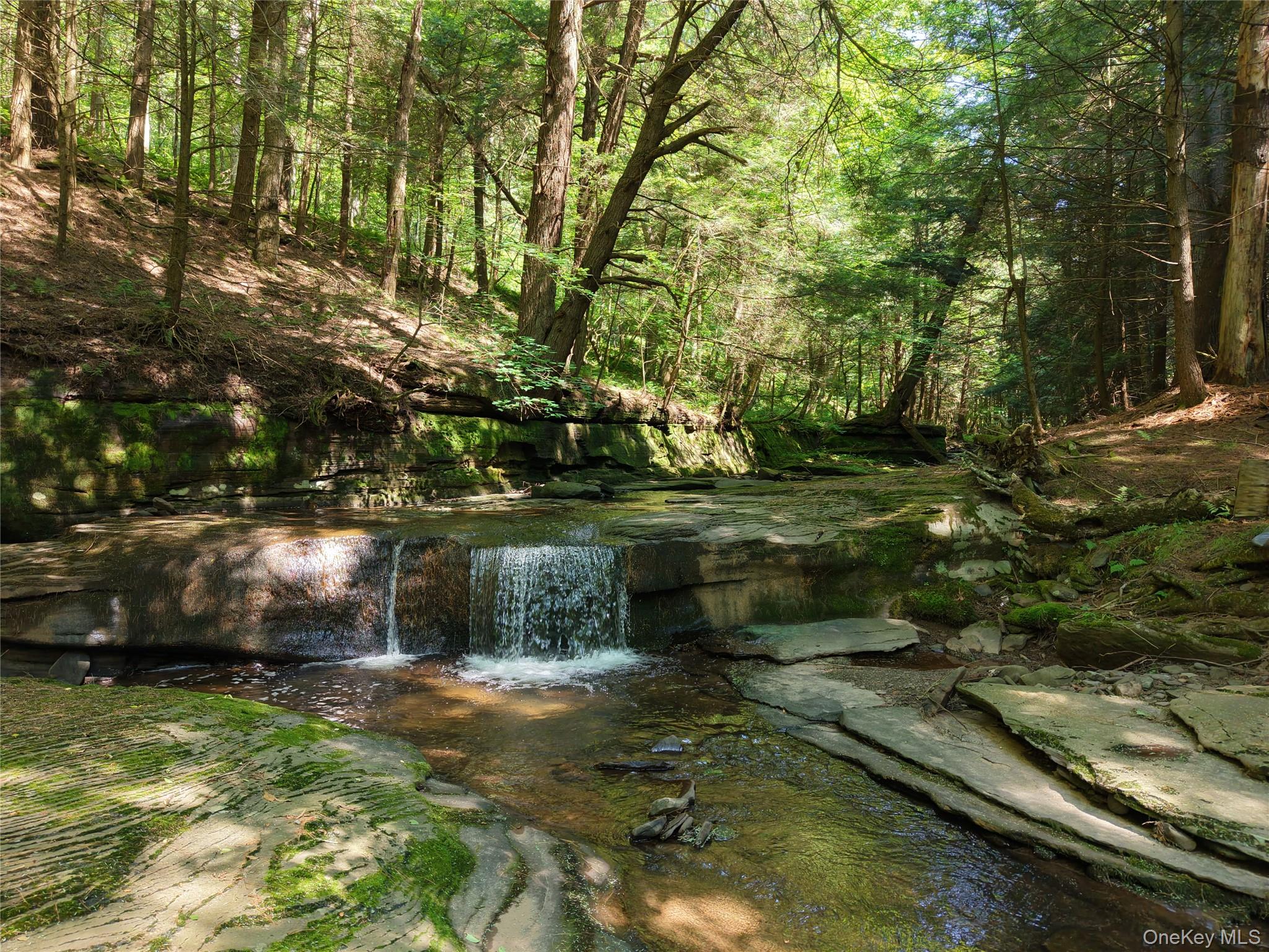 Lot 35 Webster Brook Road Property Photo 3