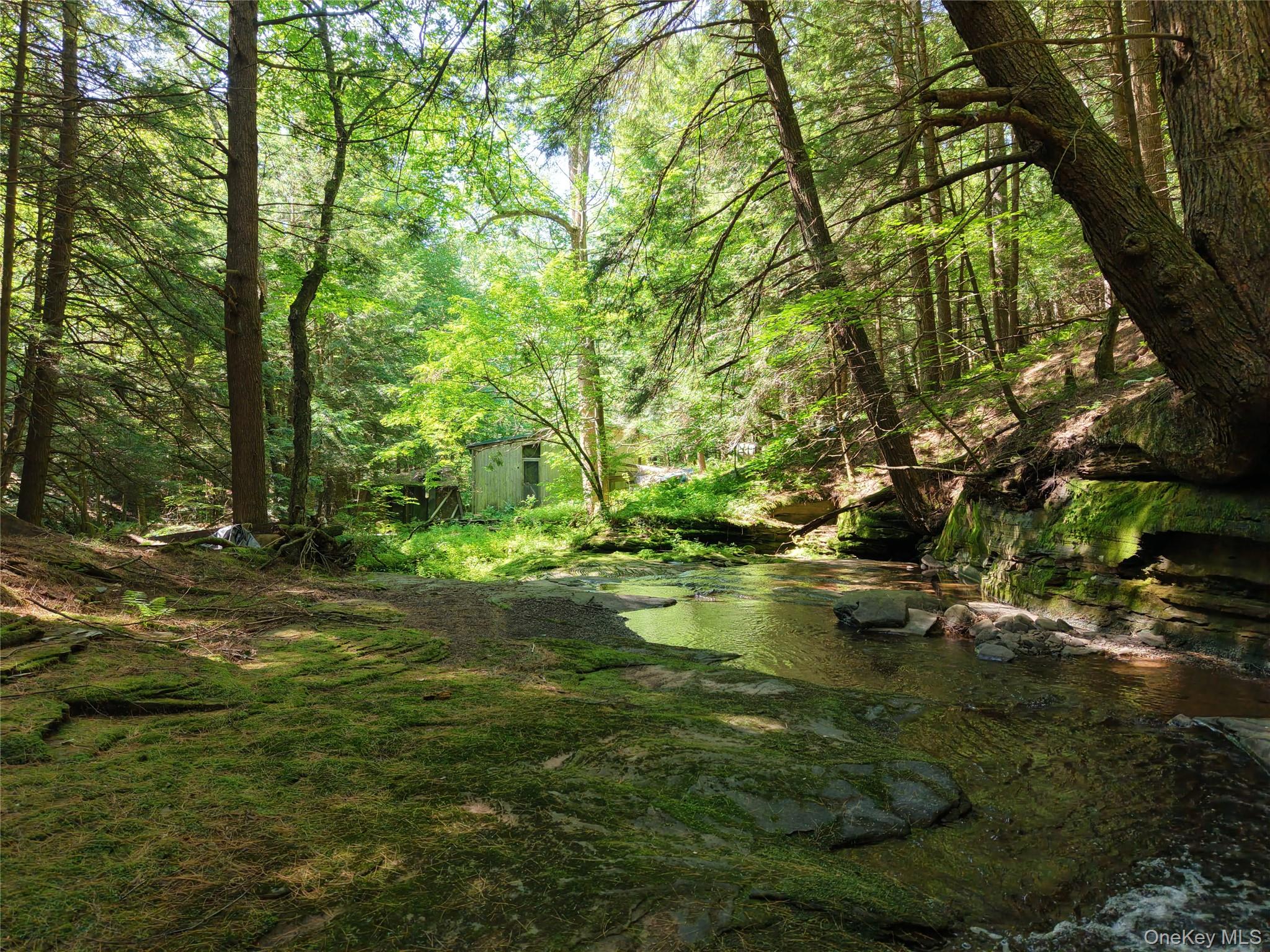 Lot 35 Webster Brook Road Property Photo 6