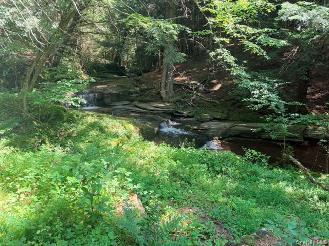 Lot 35 Webster Brook Road Property Photo 11