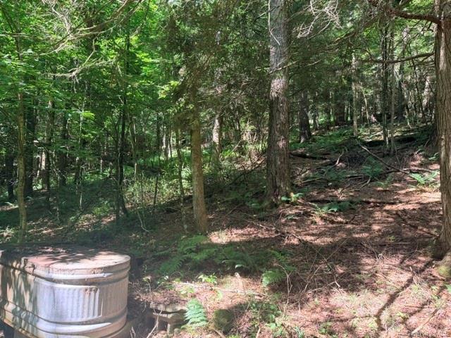 Lot 35 Webster Brook Road Property Photo 12
