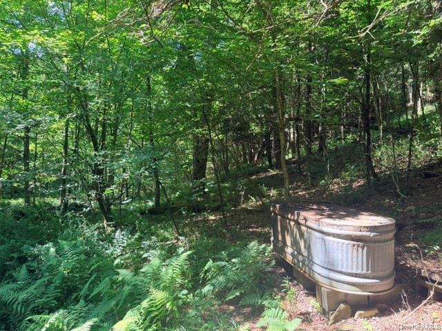 Lot 35 Webster Brook Road Property Photo 13