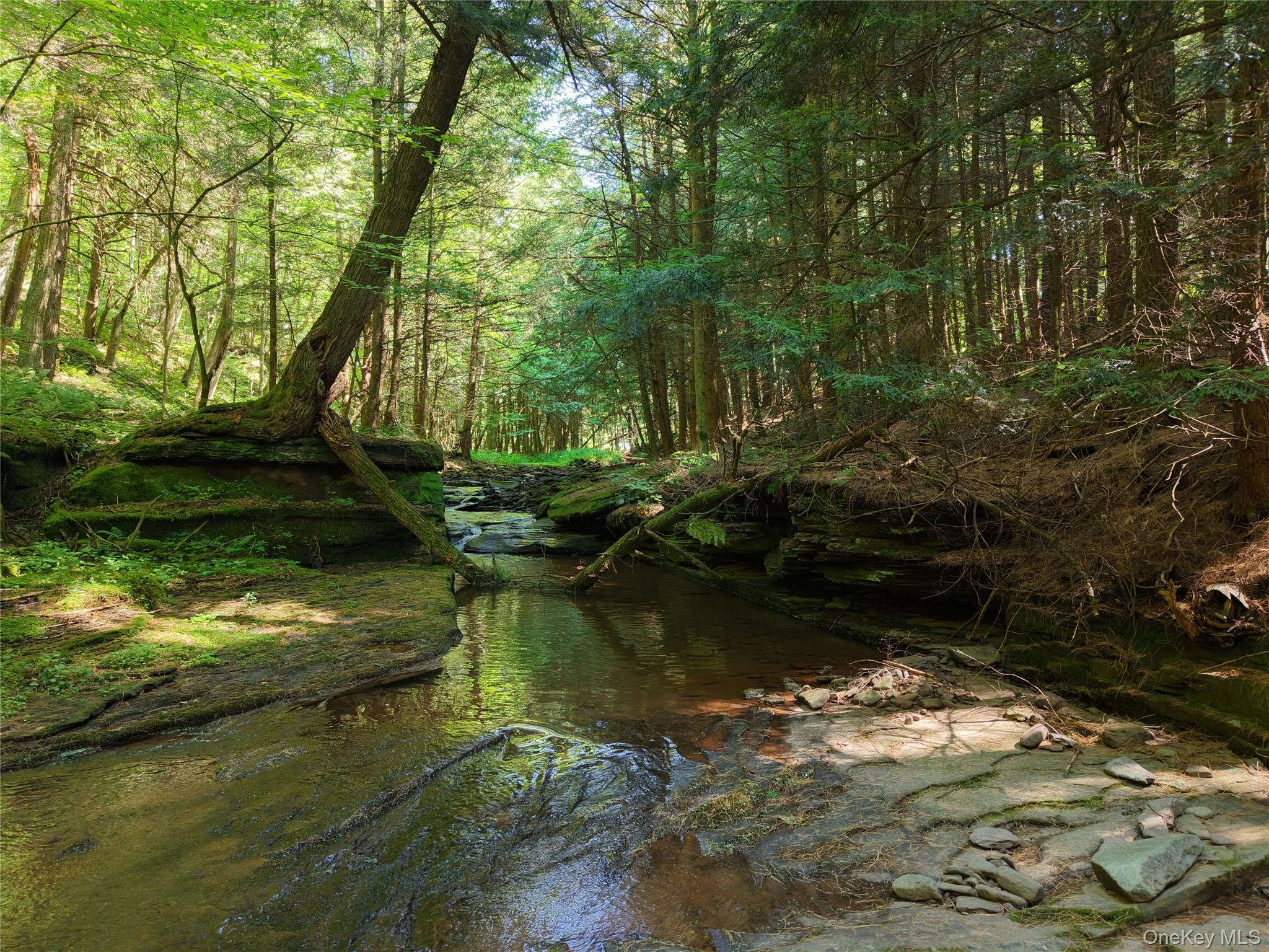 Lot 35 Webster Brook Road Property Photo 16