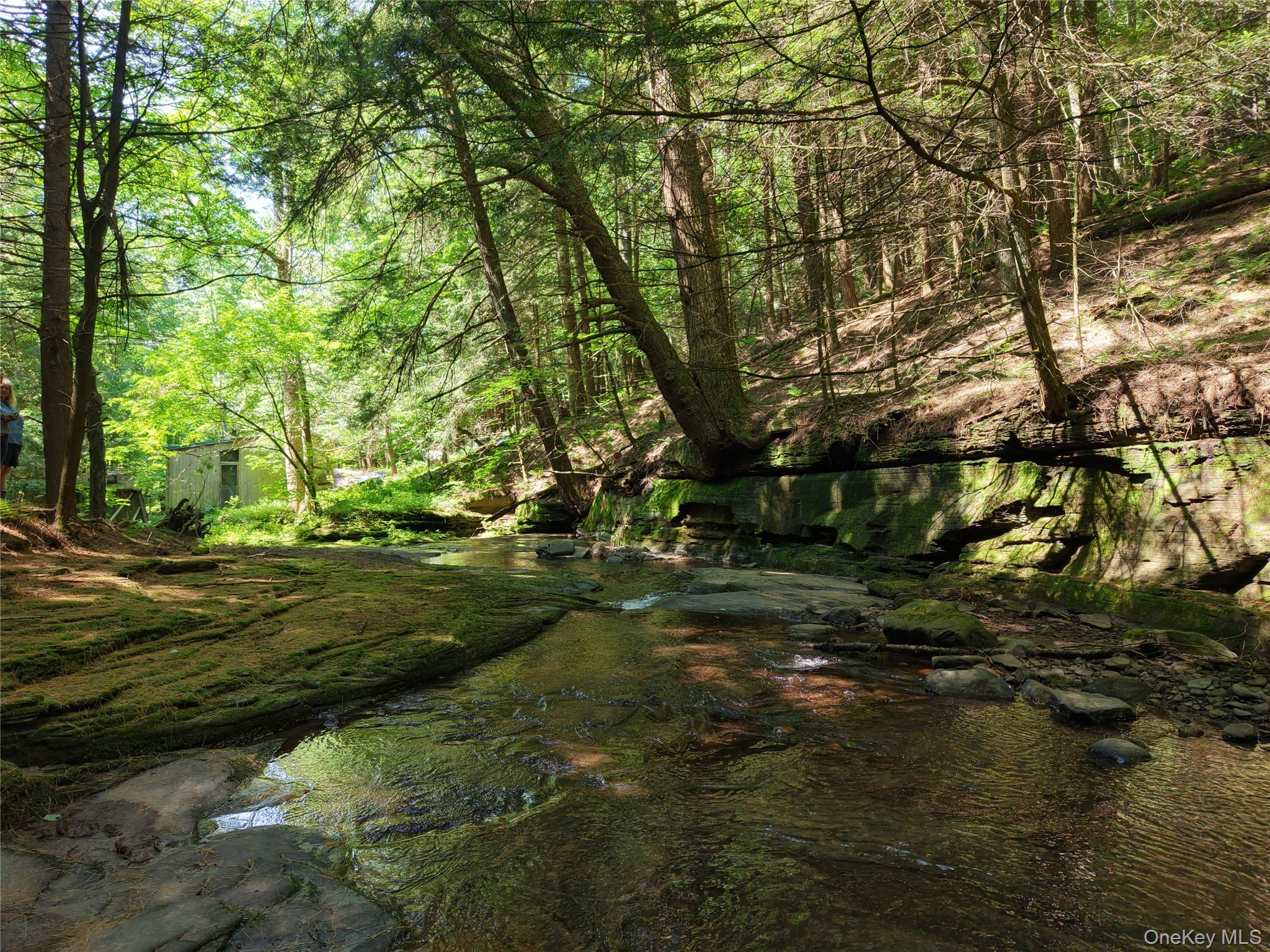 Lot 35 Webster Brook Road Property Photo 17