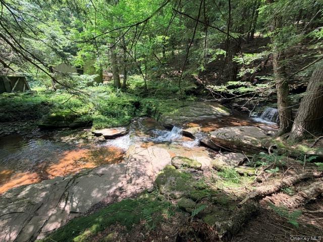 Lot 35 Webster Brook Road Property Photo 18